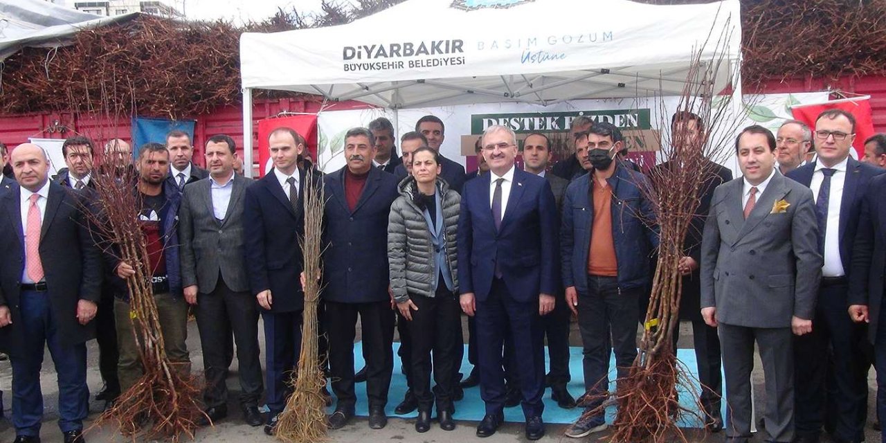 Diyarbakır'da 55 bin adet dut ve badem fidanı dağıtıldı