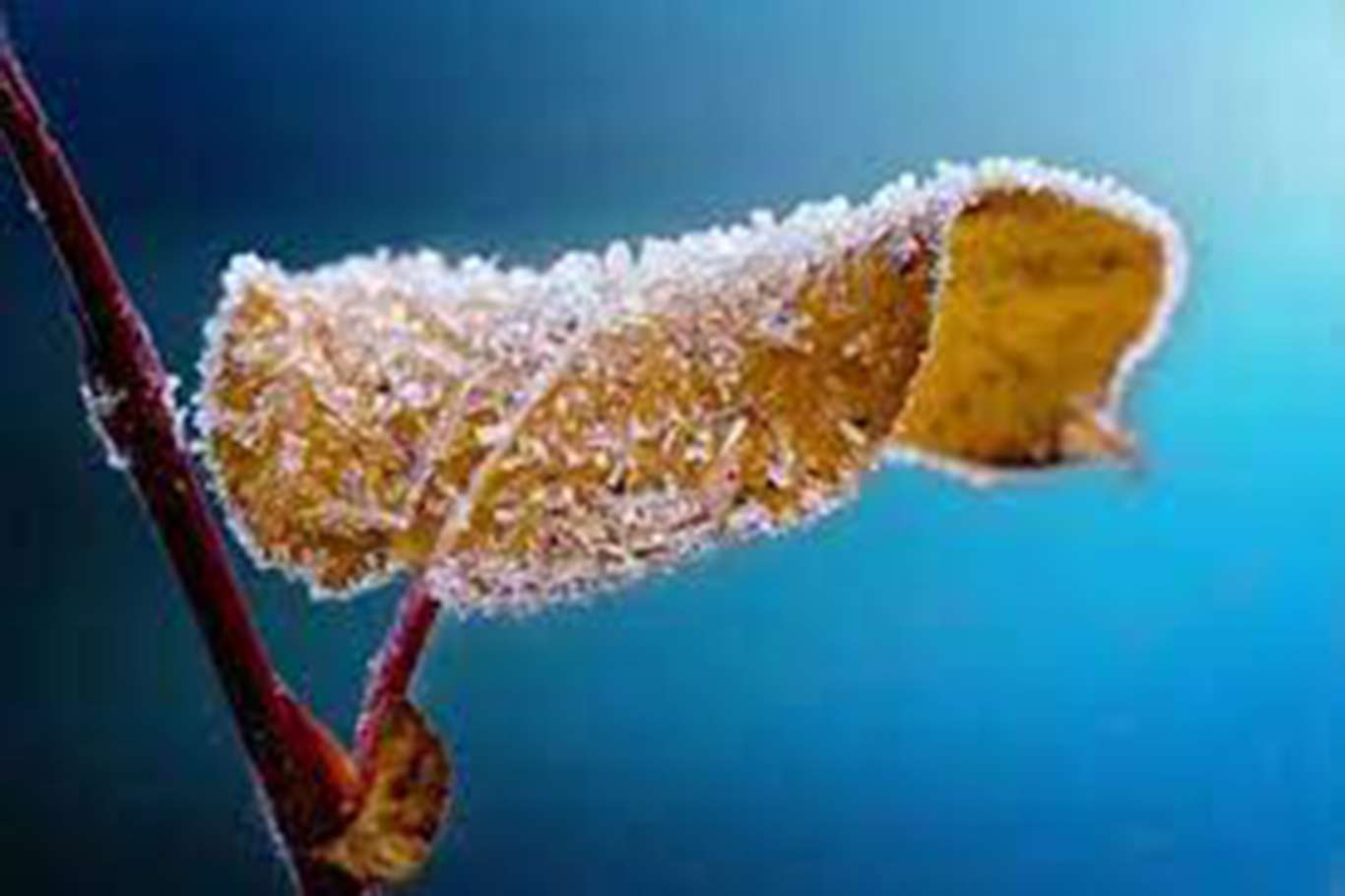 Ji teref meteorolojîyê ve hişyarîya qeşayê hat dayîn