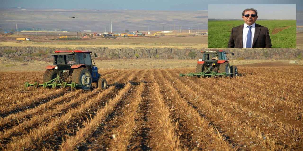 Prof. Şimşek: Temel dinamiğimiz tarımı harekete geçirmenin yolu, yönetimsel organizedir