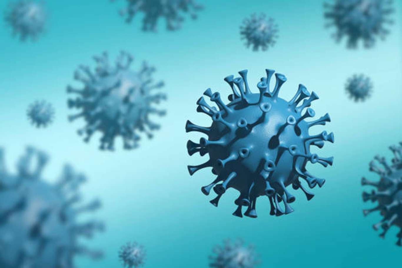 Li Tirkîyê di 24 seatên dawî de 37 kes mirin