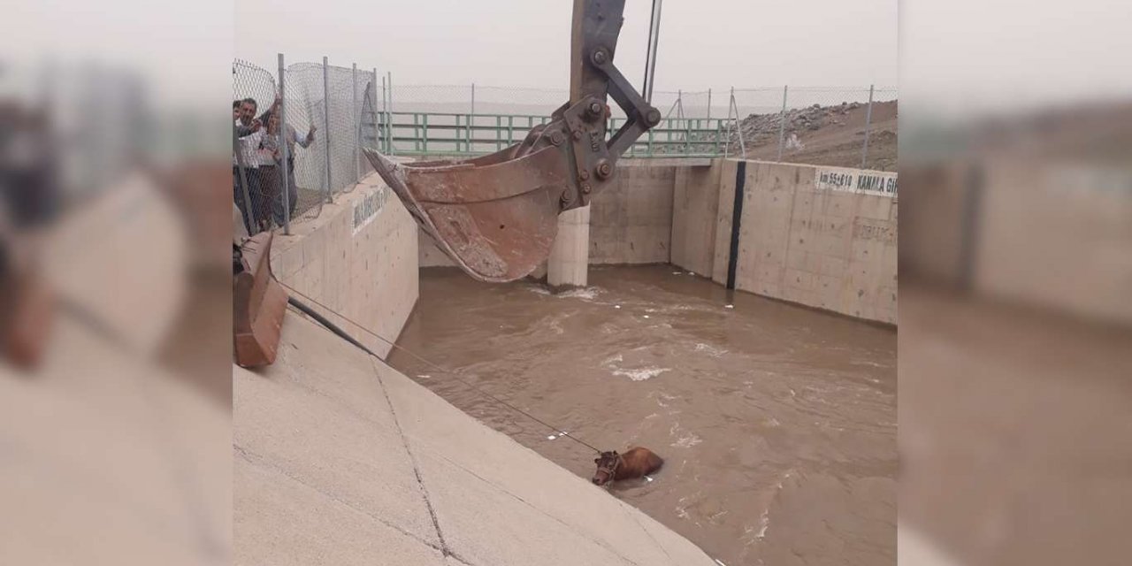 Diyarbakır Bağlar Tellikaya mahallesinde su kanalına düşen inek kurtarıldı