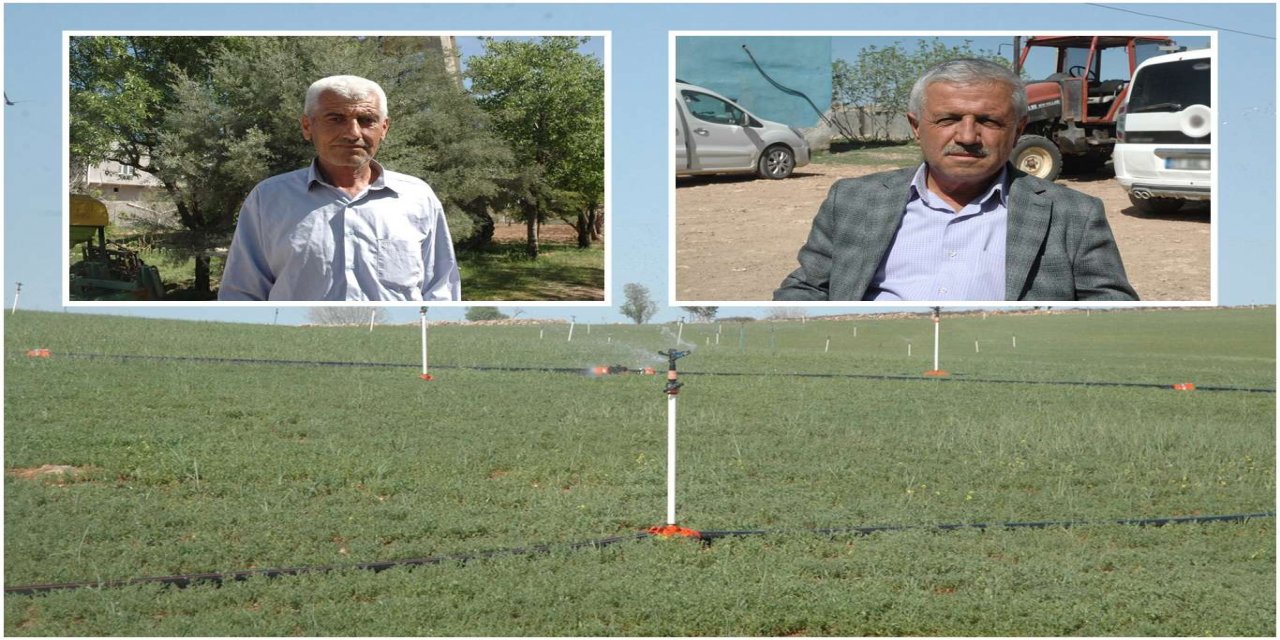 Çınarlı çiftçiler, kuraklık ve elektrik kesintileri ile aynı anda mücadele ediyor