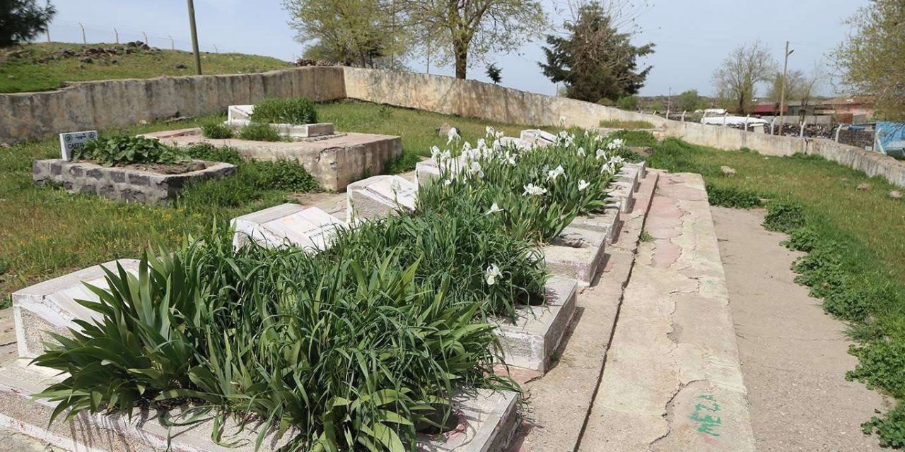 Çocuk yaşta hainlerin tekerine çomak sokan şehid: Tevfik Demir