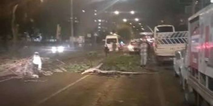 Diyarbakır Bağlar Karacadağ Caddesinde seyir halindeki 4 aracın üstüne ağaç devrildi