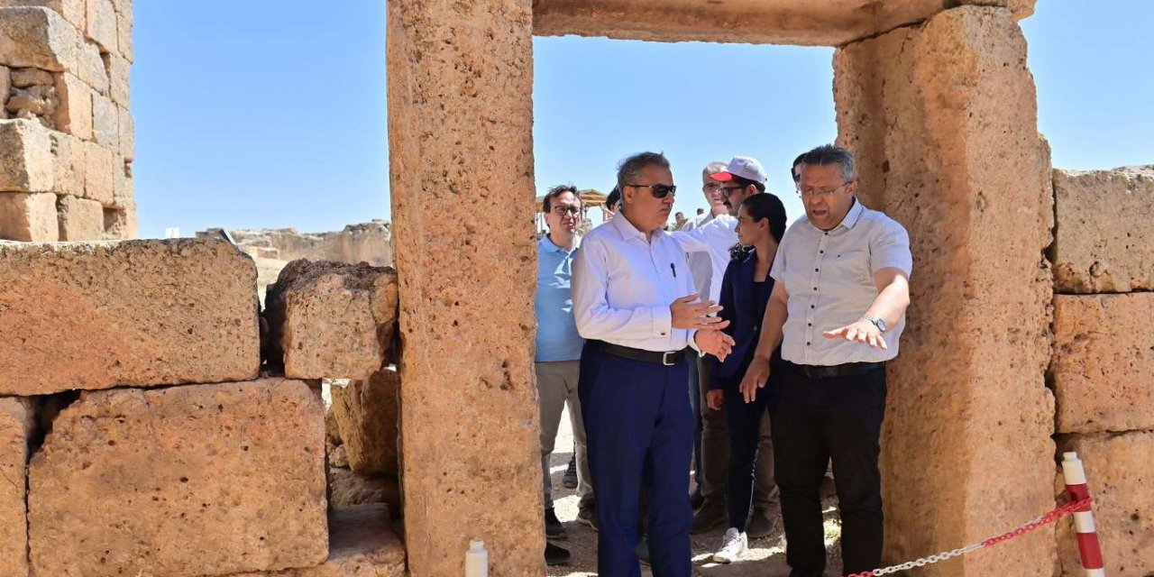 Diyarbakır'ın yeni Valisi Ali İhsan Su, Zerzevan’da incelemelerde bulundu