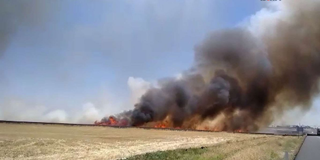 Diyarbakır Kayapınar ilçesi Tosuncuk Mahallesi'nde 220 dönüm ekili alan küle döndü