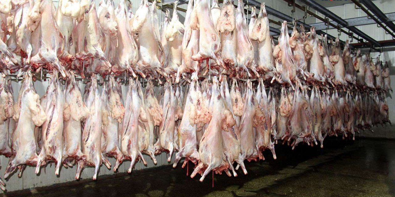 Umut Kervanı: Kurban bağışlarımız devam ediyor