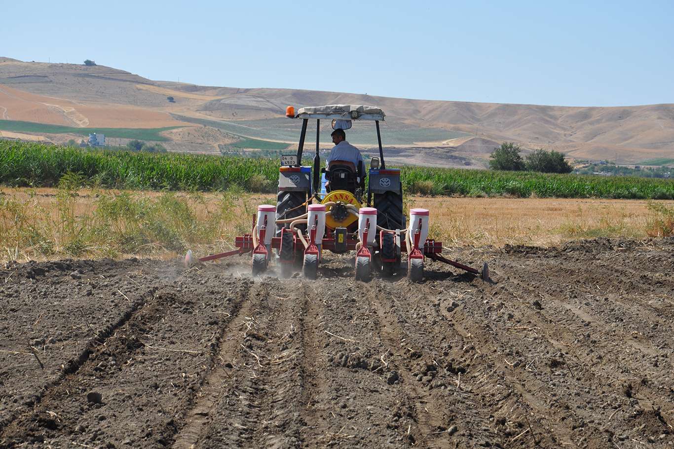 Çiftçiler 45 derece sıcakta geçim mücadelesi veriyor