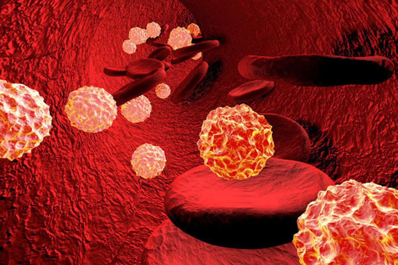 Hepatitte kritik süre 6 ay