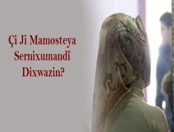 Çima Zulmê Li Mamosteya Sernixumandî Dikin?