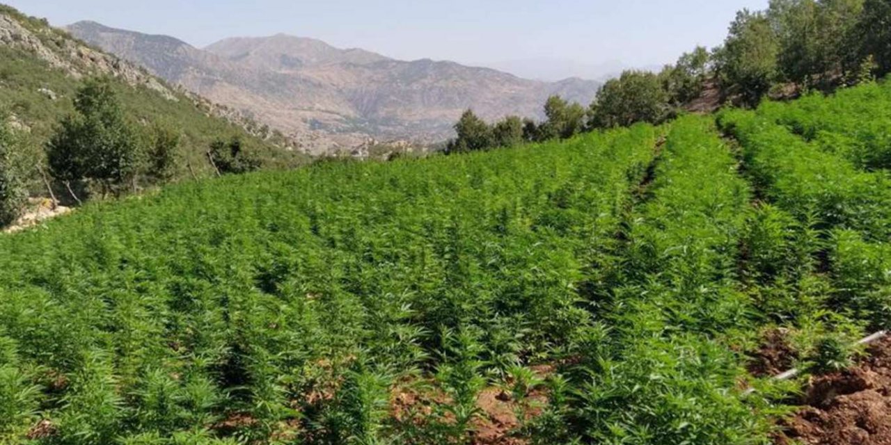 Diyarbakır'da PKK operasyonunda yüklü miktarda uyuşturucu ele geçirildi