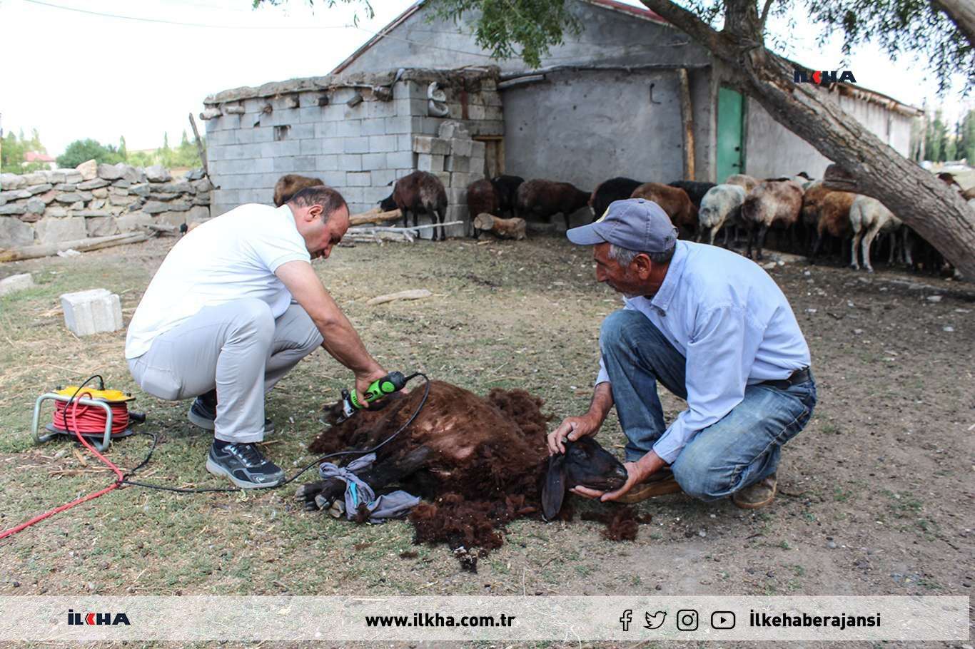 Ji bo ku mîh bi nexweşîya zerikê nekevin tên qusandin