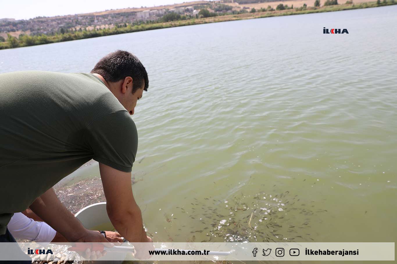 Diyarbakır'daki göletlere 3 milyon yavru sazan balığı bırakıldı