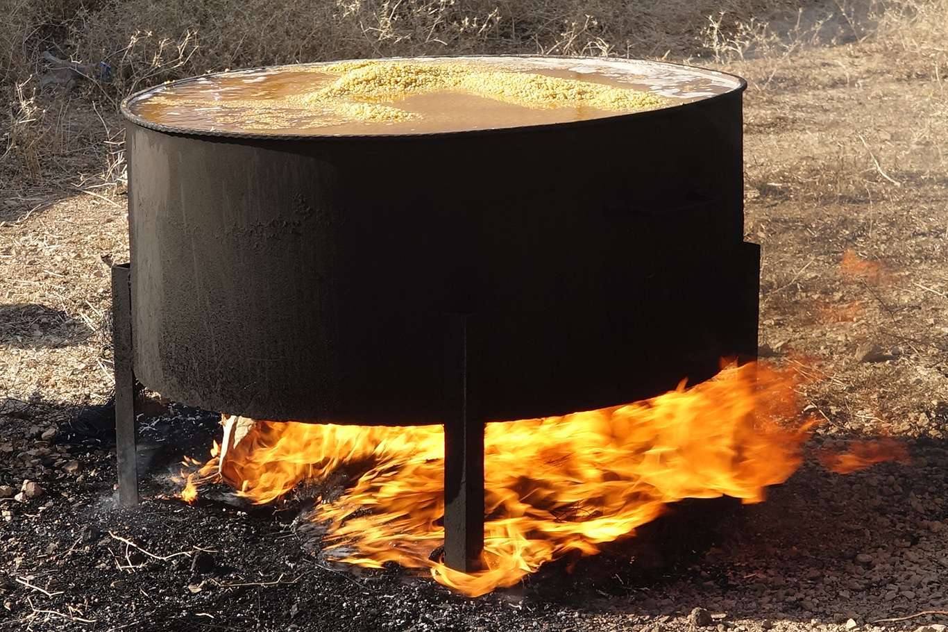 Tehma ku bi sedsalan dewam dike: Hedik