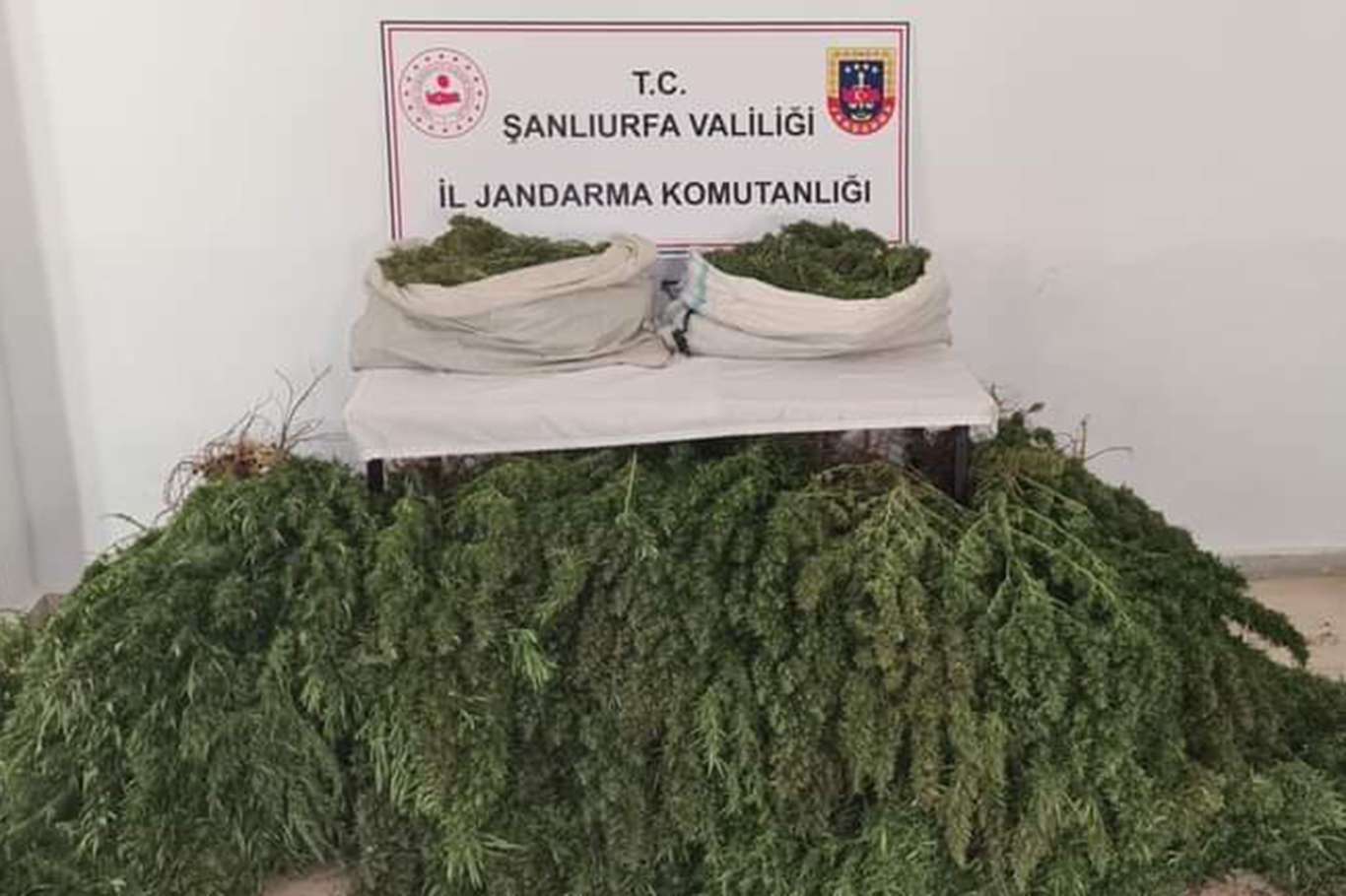 Li Wêranşarê operasyona tiryakê: 1 binçavî