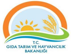 Akkaraman koyunu Doğu'nun ekonomisine katkı sağlayacak