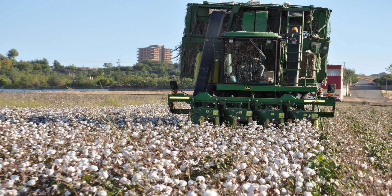 Batman'da pamuğa yönelen çiftçiler ilk hasada başladı