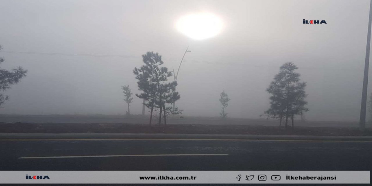 Diyarbakır'da sis etkili oldu