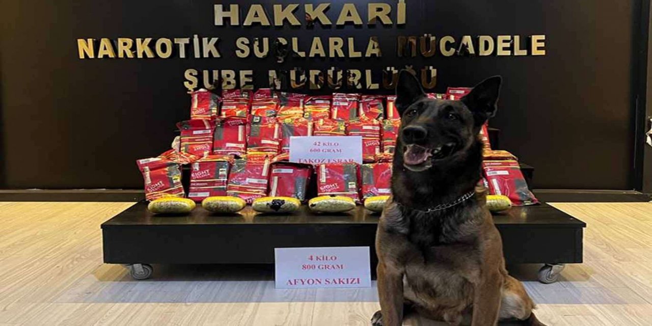 Li Colemêrgê 47 kîlo tiryak hat bidestxistin