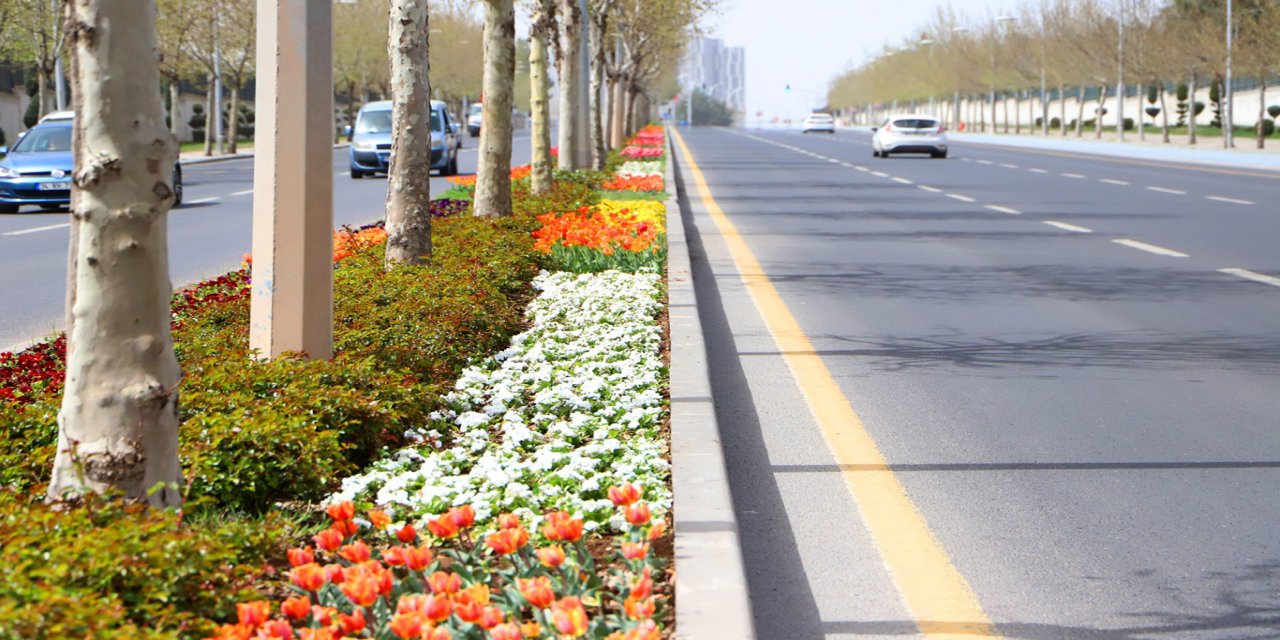 Diyarbakır 2022’de 3 milyon 384 bin mevsimlik çiçekle süslendi