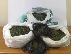 Altı kişi uyuşturucudan gözaltına alındı