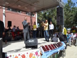 Manisa Geleneksel Kiraz Festivali başladı