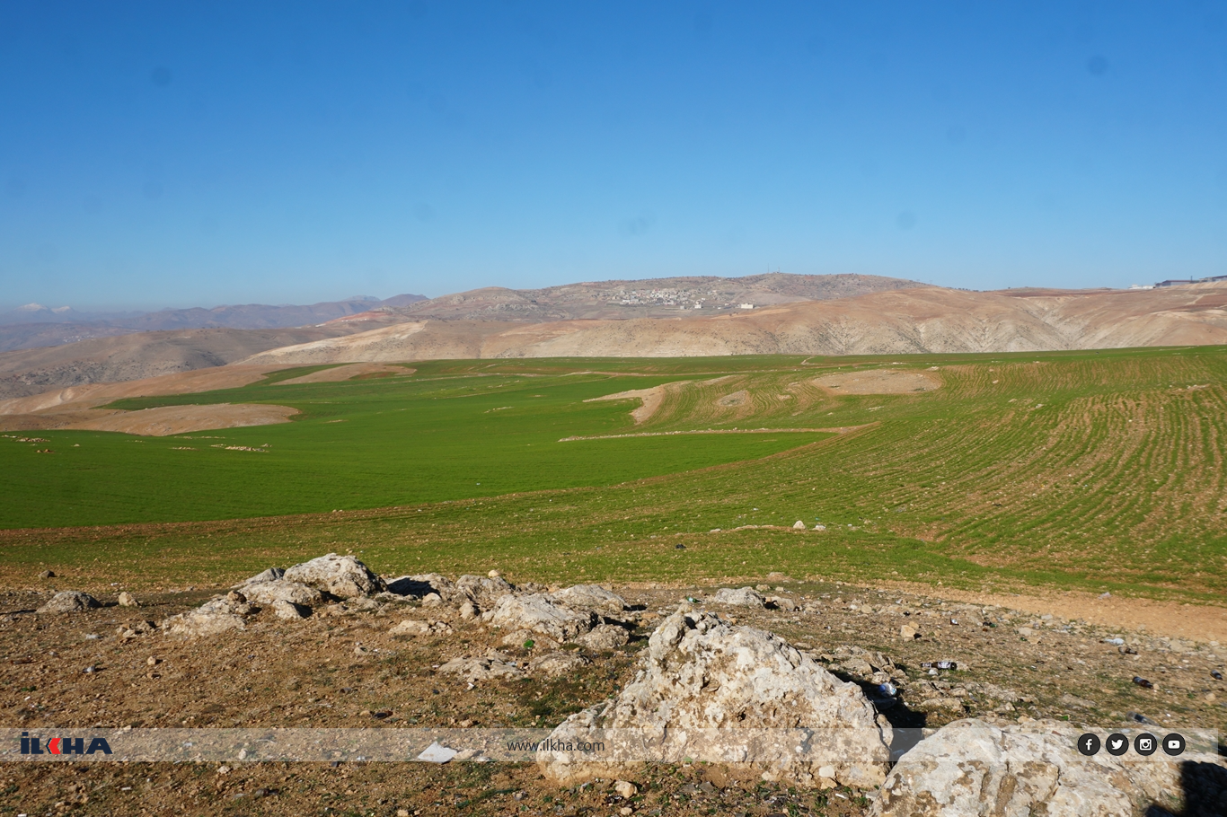 Geçen yıl halay eşliğinde hububat hasadı yapan çiftçiler bu yıl kuraklık nedeniyle endişeli