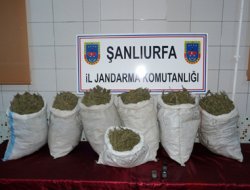 Şanlıurfa'da 48 kilo esrar ele geçirildi