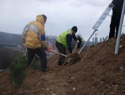 Bingöl de 200 geçici işçi alımı yapılacak