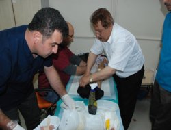 Bitlis'te geleneksel sünnet