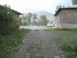 Van'a pamukçuk yağıyor