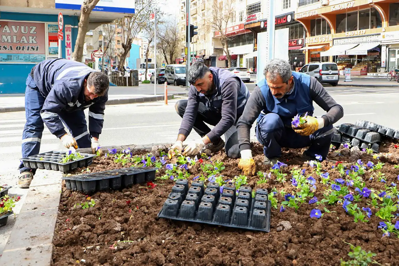 Diyarbakır'da mevsimlik çiçek dikim çalışmaları devam ediyor