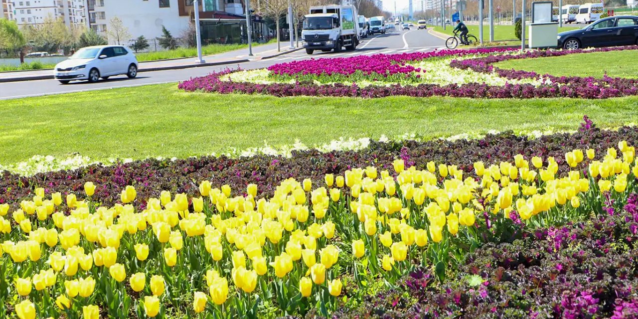 Diyarbakır'da laleler, kavşak ve orta refüjleri renklendirdi