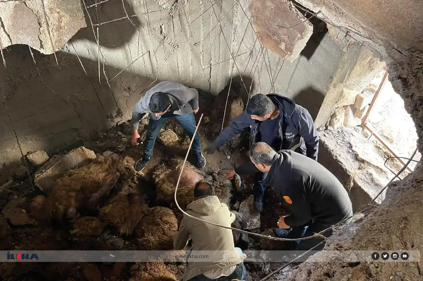 Li Sêrtê 12 mih ji ber hilweşîna koxê telef bûn