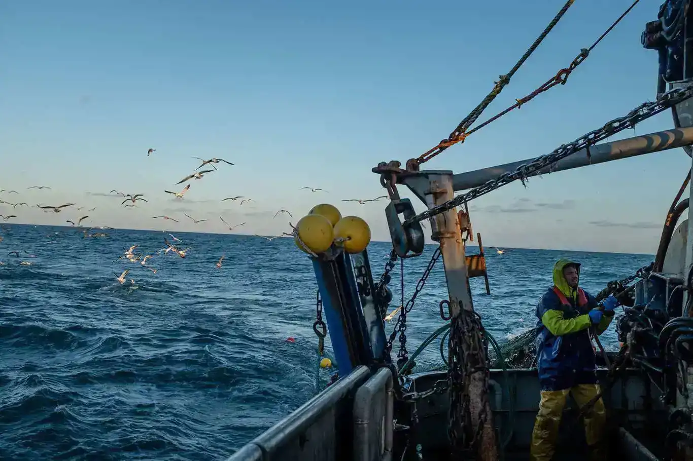Qedexeya girtina masîyan dest pê kir
