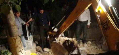 Cizre'deki kazıda 3 cesede ait kemikler çıktı