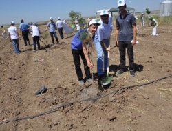 Öğrenciler fidan dikti