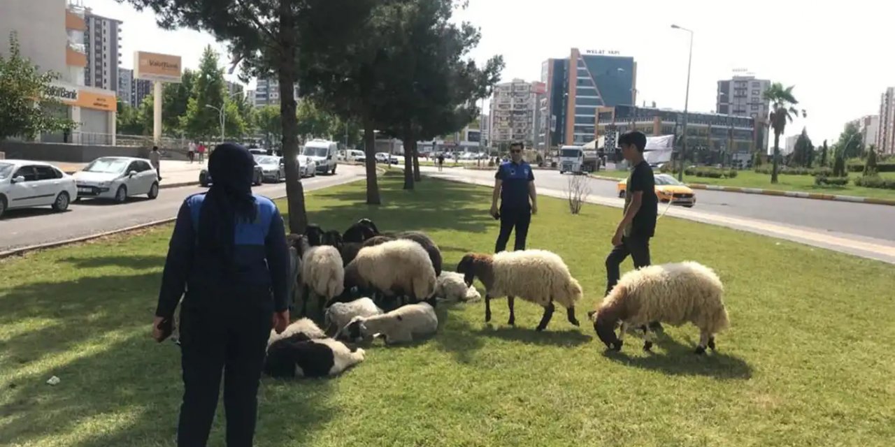 Diyarbakır'da zabıta bayram boyunca denetimdeydi