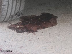 Eşini ve kayınbabasını kurşuna dizdi