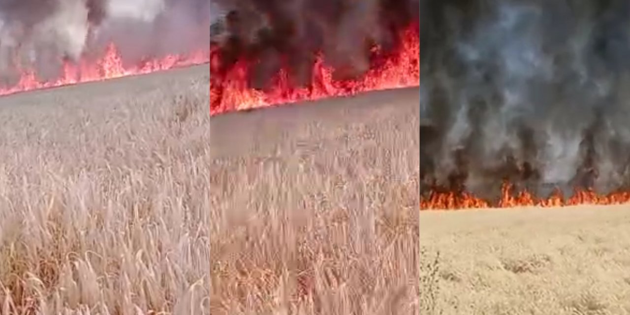 Çınar'da aynı kırsal mahallede bir tarla yangını daha