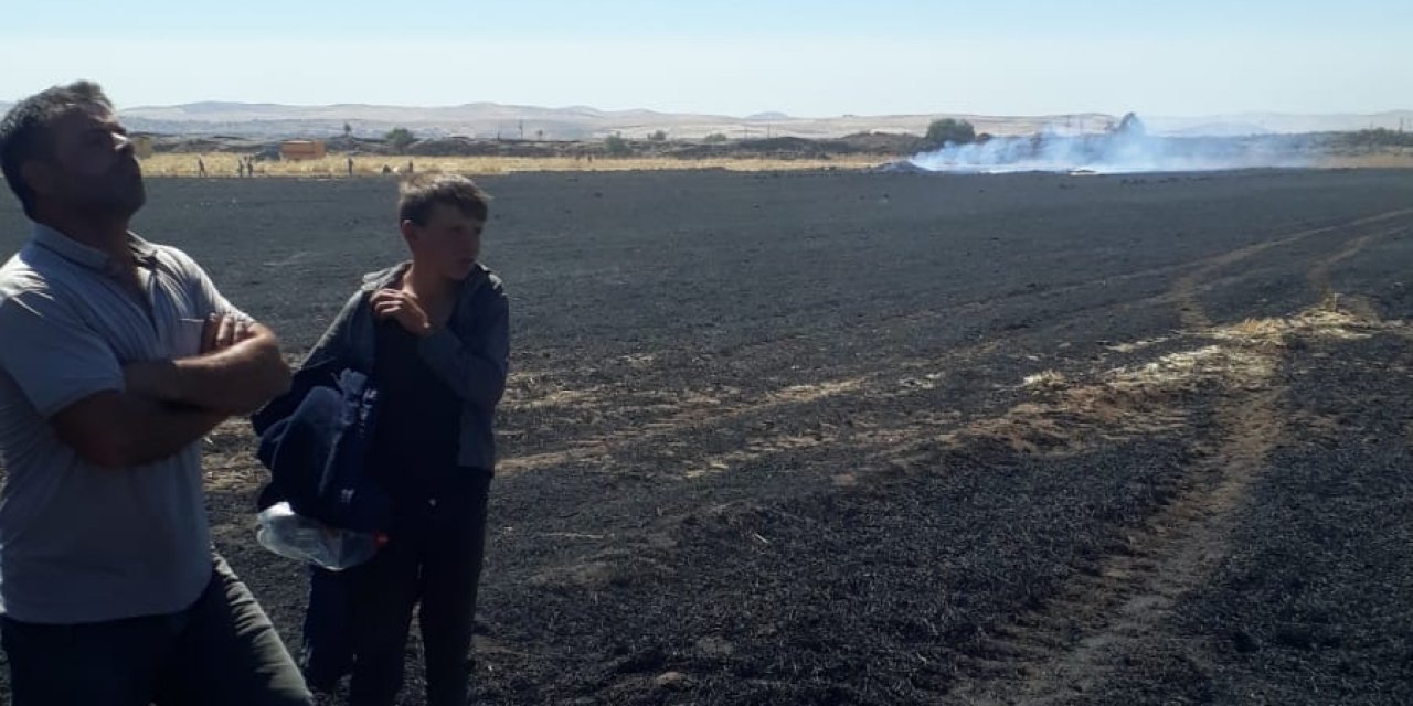 Çınar'da 30 dönüm ekili alan yandı