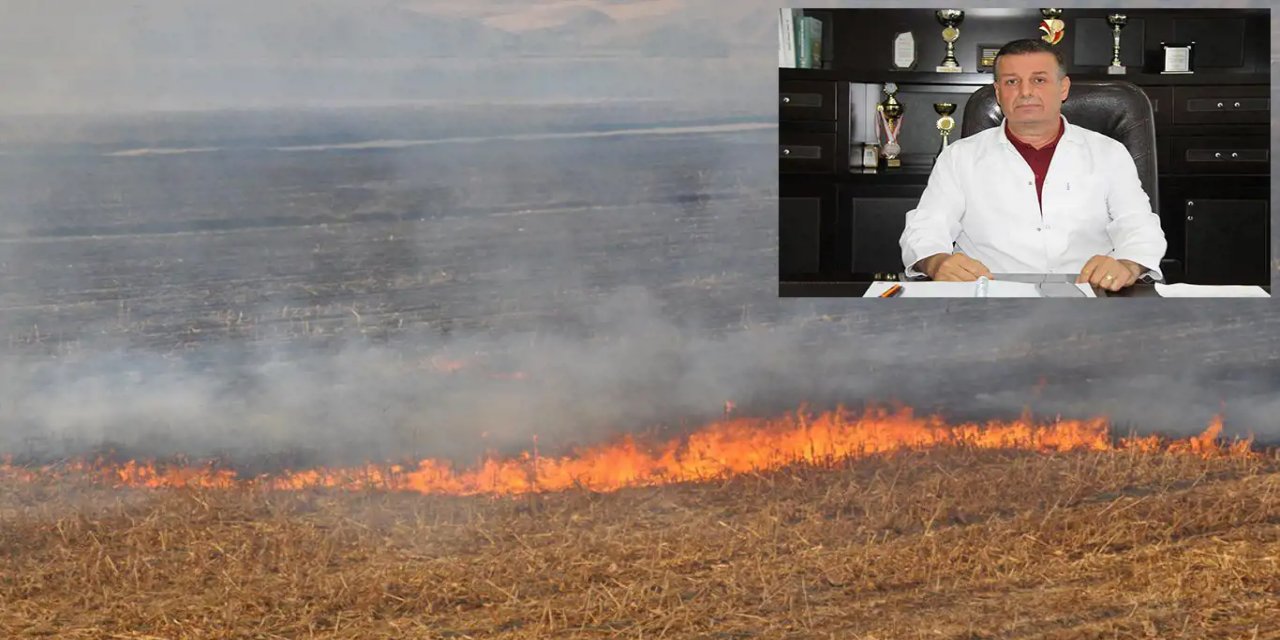Prof. Muzaffer Denli: Anız yakmak hem toprağa hem de çevreye ciddi zararlar vermektedir