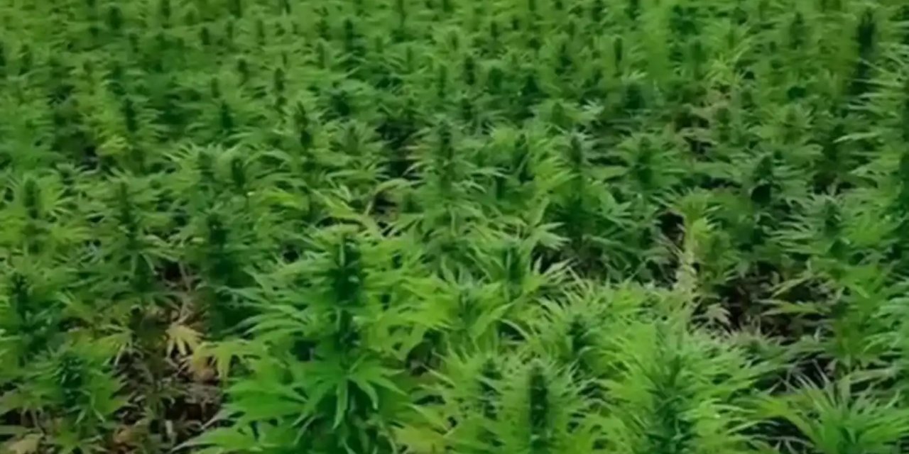 Lice'de yüklü miktarda uyuşturucu ele geçirildi
