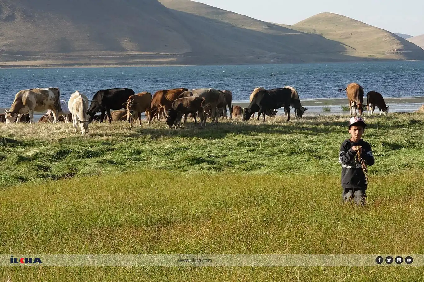 Vegera  ji zozanan dest pê dike