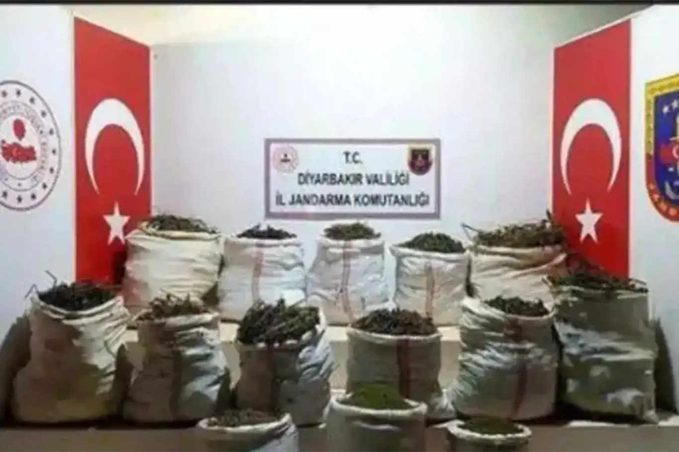 Diyarbakır’da 11 milyonu aşkın kök kenevir ele geçirildi