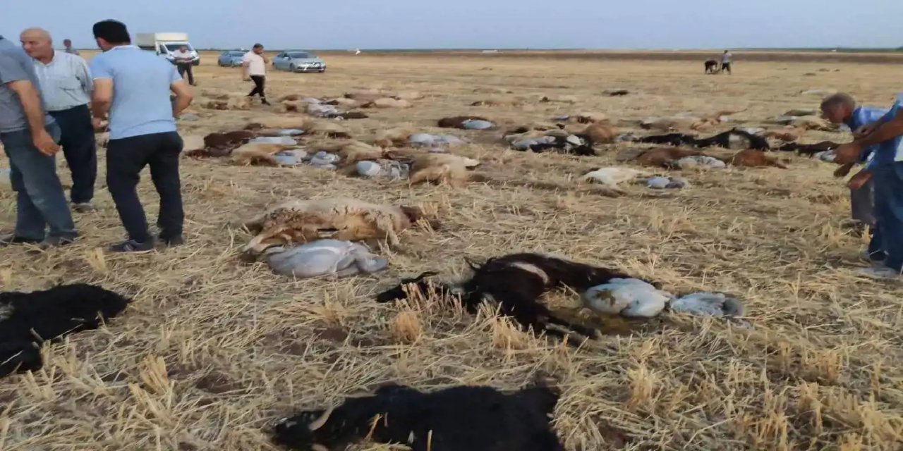 110 mîyên ji ava dermankirî vexwarin telef bûn