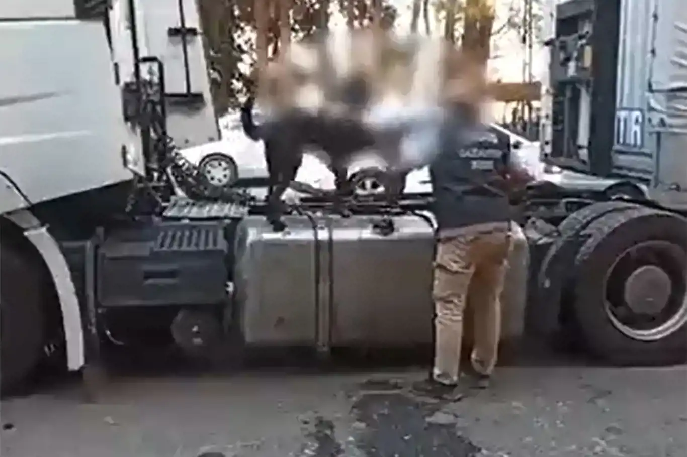 Li Entabê 29 kîlo û 500 grem tiryak hat bidestxistin