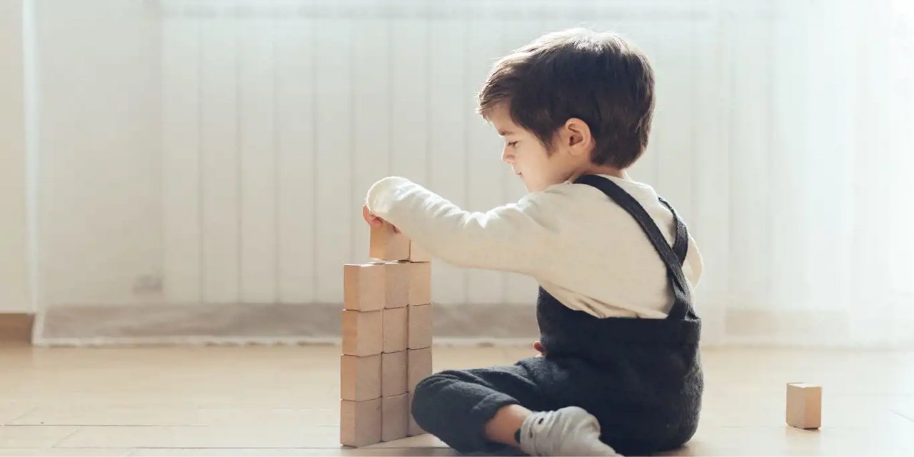 Duyu bütünleme nedir?