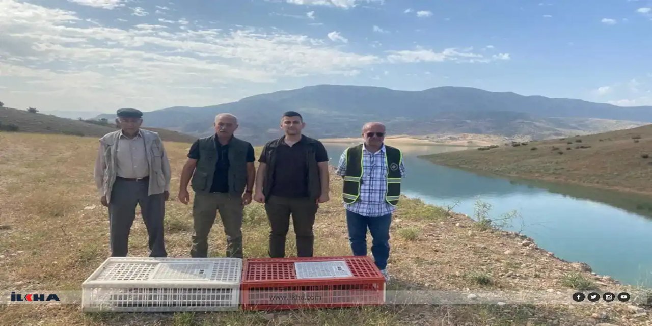 Bi sedan kew ji tebîatê re hatin berdan