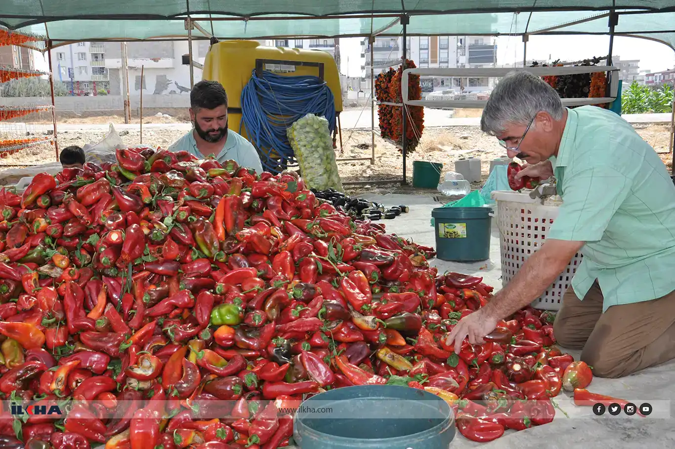 Hewaya germ herî zêde li wan tê